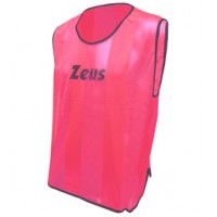 Vesta departajare Promo, ZEUS - Roz